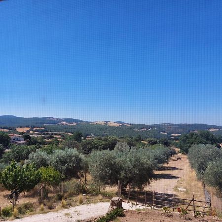 Fattoria La Campigliola Daire Dış mekan fotoğraf