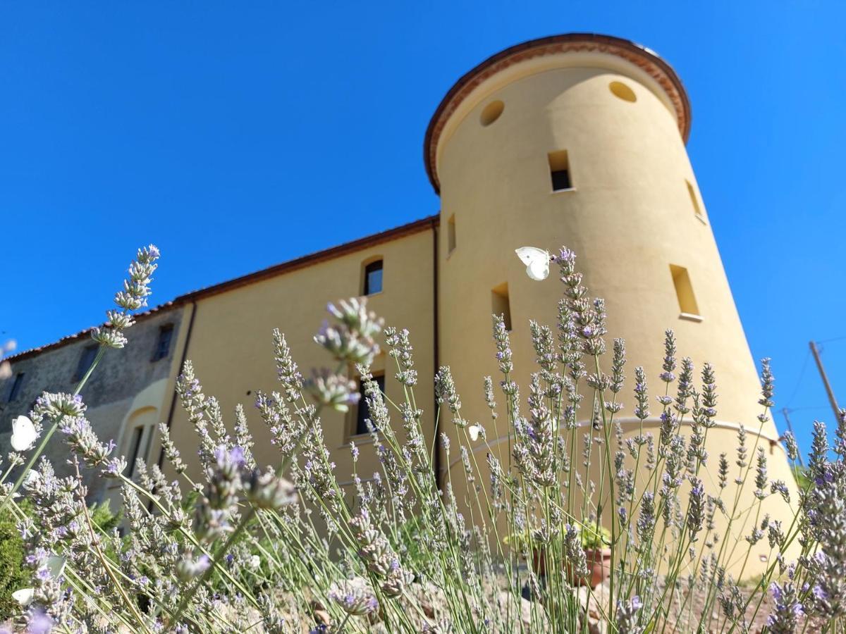 Fattoria La Campigliola Daire Dış mekan fotoğraf