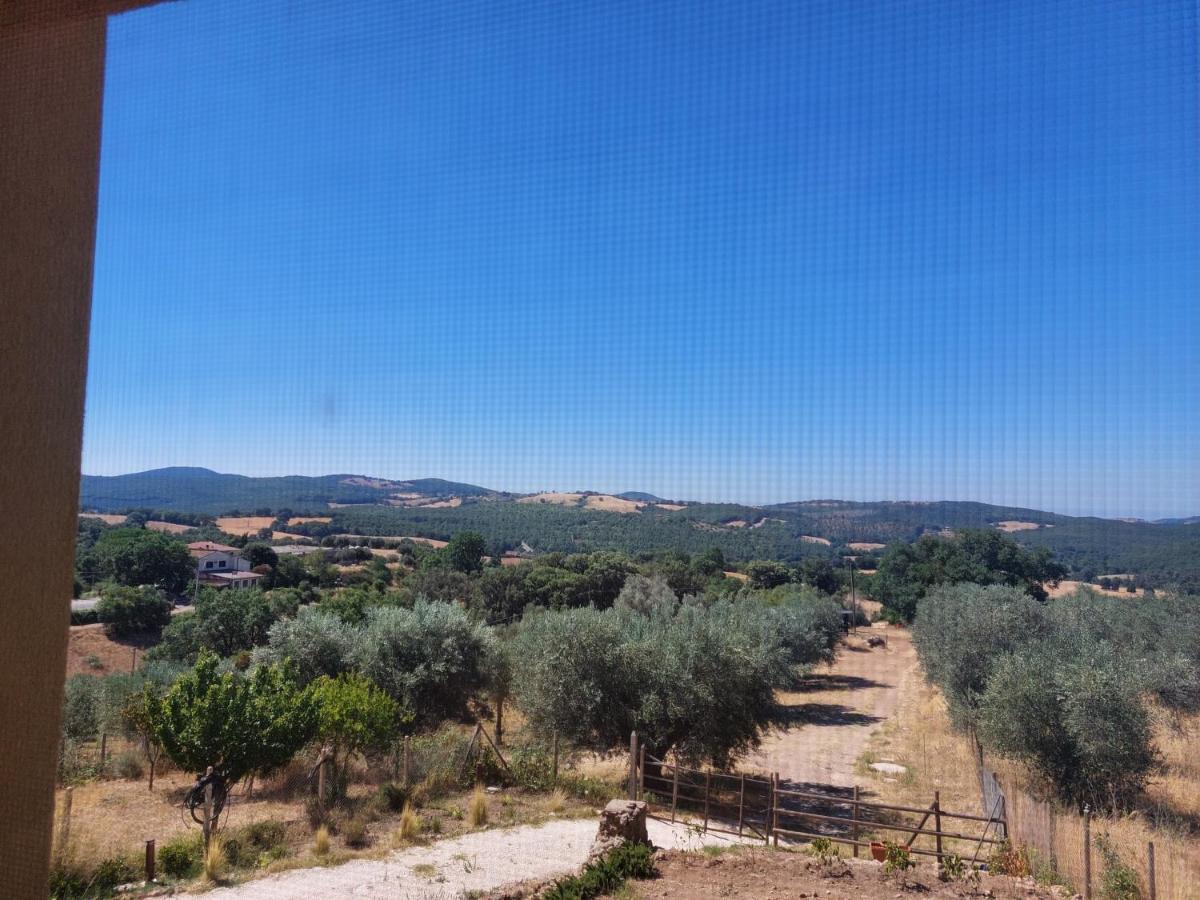Fattoria La Campigliola Daire Dış mekan fotoğraf